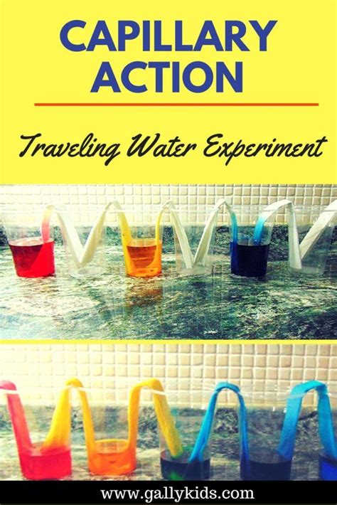 Capillary Action Experiment Paper Towel Version The Case Of The