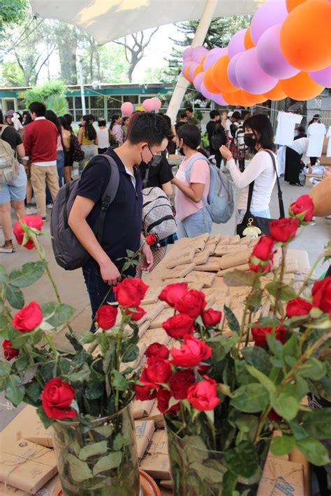 Cita a ciegas con un libro | Gaceta del Colegio de Ciencias y Humanidades 