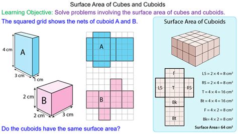 Surface Area Of Cube And Cuboid Worksheet