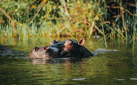 Akagera National Park Across Wilderness Expedition