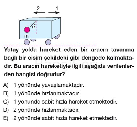 S N F Fizik Kuvvet Ve Hareket Testi Z Test Z