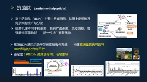 【图文实录】马曦：23分钟详解替代抗生素促进肠道健康的三大武器腾讯新闻