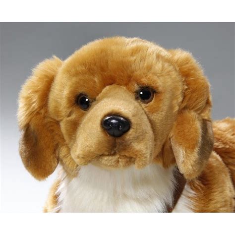 Knuffel Golden Retriever Hond 50 Cm Bol