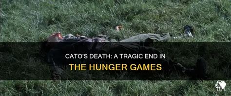 Catos Death A Tragic End In The Hunger Games Petshun