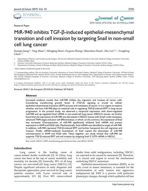 Pdf Mir Inhibits Tgf Induced Epithelial Mesenchymal Transition