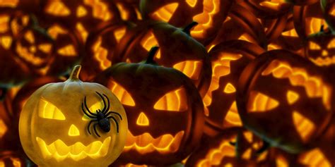 Download Halloween, Pumpkins, Hallowe'En. Royalty-Free Stock ...