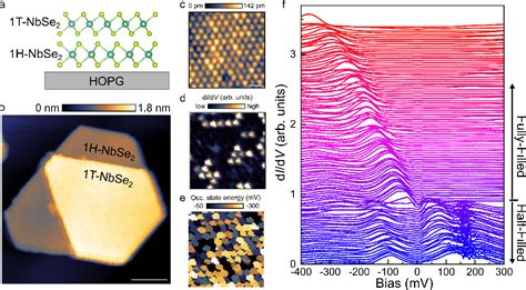 Figure From Doped Mott Phase And Charge Correlations In Monolayer T