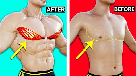 6 Best Exercise Lower Chest Workout 🔥 Youtube