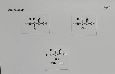Solved Choose 3 amino acids from the last page and cut them | Chegg.com 