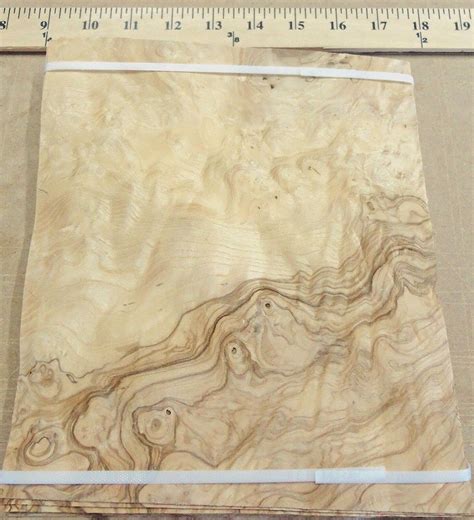 Olive Ash Burl Wood Veneer 8 X 8 With No Backing Raw Veneer A