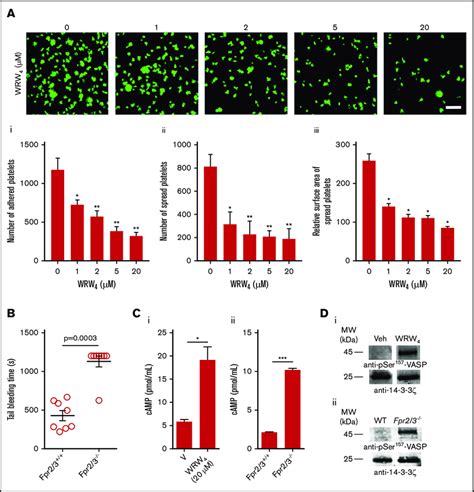 Impact Of Fpr2alx In Platelet Spreading Hemostasis And Cyclic