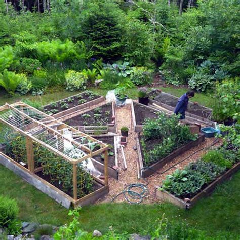 Astuces Pour R Ussir Cultiver Un Beau Potager Garden Layout