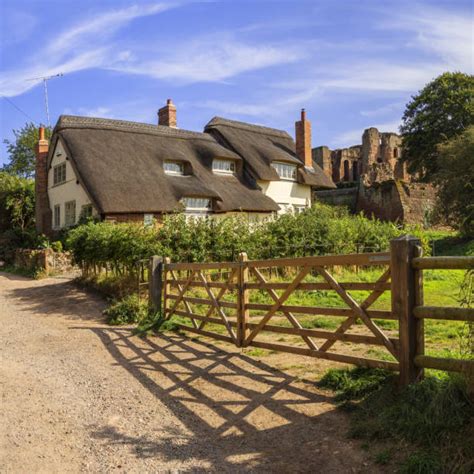 Lawn Thatch Stock Photos Pictures And Royalty Free Images Istock