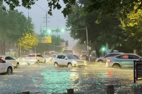 Typhoon Muifa Makes Landfall In China S Shandong Chinadaily Cn