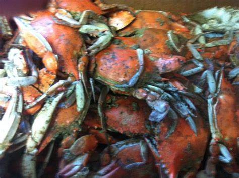 Slabs And Crabs