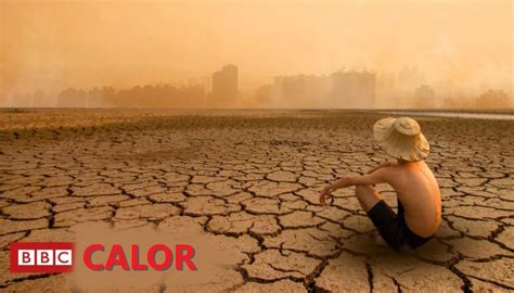 Experimento Con El Calor Llevado Al Extremo Revela Las Trágicas Consecuencias La Verdad Noticias