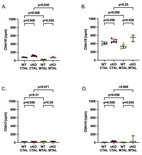 Ijms Free Full Text Claudin 10 Expression And The Gene Expression