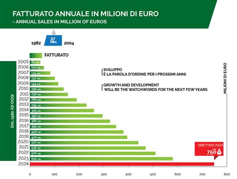 Il Fatturato