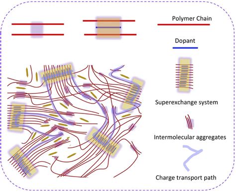 Schematic Illustration Of The Doped P 3HT 1 X Stat T X X 0 24