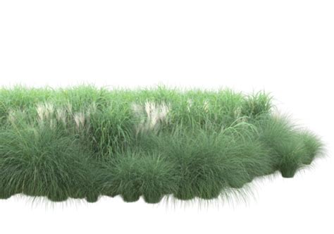 Grass Circle Pngs For Free Download