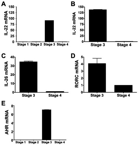 T H 17 Associated Gene Expression During Nk Development Download Scientific Diagram