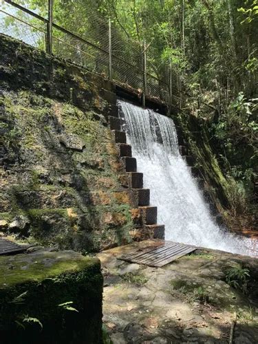 Best Forest Trails In Parque Natural Municipal Nascentes De