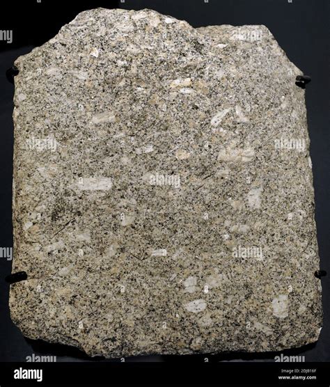 Alkali Feldspar Granite