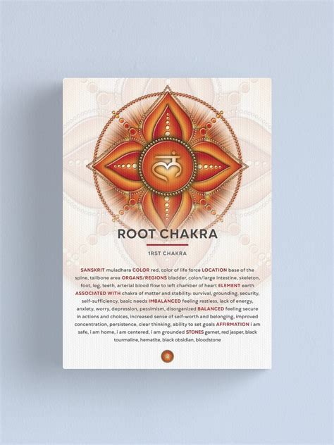 Root Chakra Chakra Muladhara Infographic Description