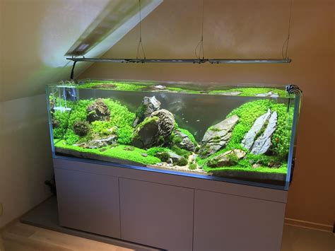 648l Iwagumi High Tech Pitek Aquascaping Acquario Di Acqua Dolce