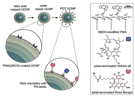 Polymers Free Full Text Stimuli Responsive Polymeric Nanocarriers