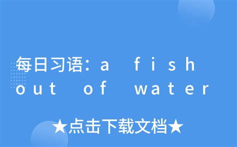 每日习语a fish out of water