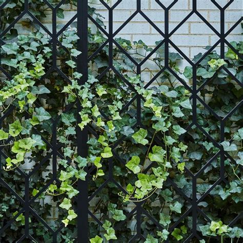 More English Ivy Love As Seen Here On One Of Our Deco Inspired Custom