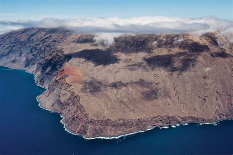 Guadalupe Island Shark Research — Pelagios Kakunja