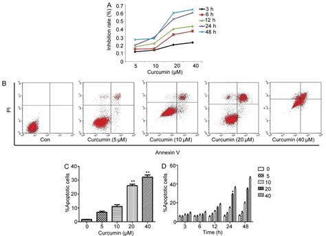 Curcumin Induces The Apoptosis Of A549 Cells Via Oxidative Stress And