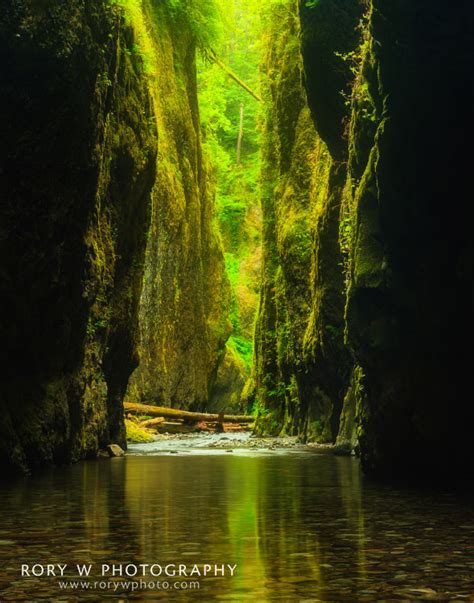 Oneonta Gorge Oregon | Rory W Photography