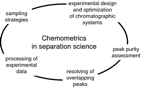 Different Steps Of The Analytical Process Involving Separation Download Scientific Diagram