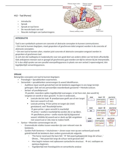 Samenvatting Hoofdstuk 12 Taal Principles Of Cognitive Neuroscience