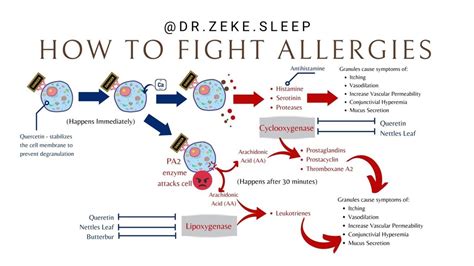 How To Treat Allergies Naturally Live Love Sleep