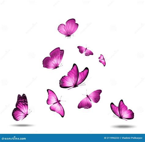 Flock Of Pink Butterflies Isolated Against A White Background Stock