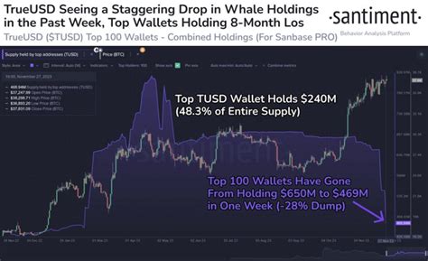 TrueUSD Sees A Massive Drop In Whale Holdings Here S How Much TUSD