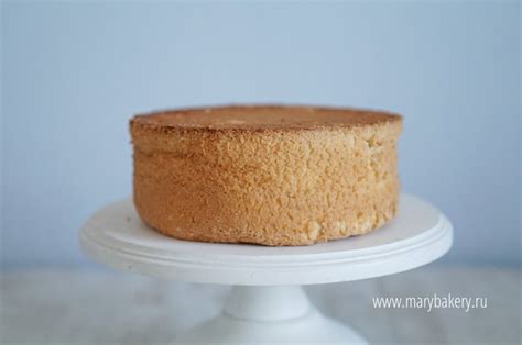 Классический бисквит – Mary Bakery