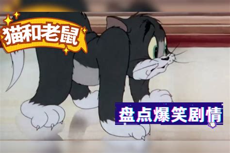 猫和老鼠：盘点片中经典场面，堂堂一只猫，竟被老鼠追着跑