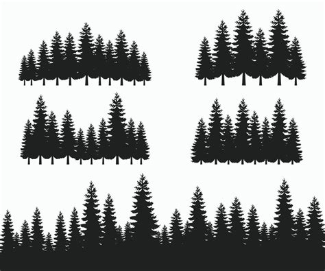 Forest Fir Trees Silhouettes Pine Tree Silhouette Coniferous Spruce