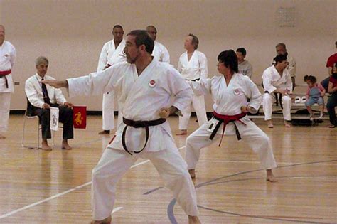 Karate Games For Kids Howtheyplay
