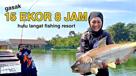 PERTAMA KALI 15 Ekor Patin Mekong Dalam 8 Jam Memancing Di Hulu