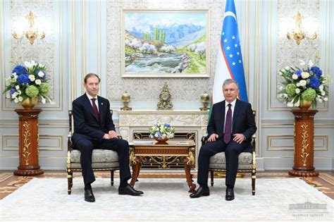 Президент принял заместителя председателя правительства Российской ...