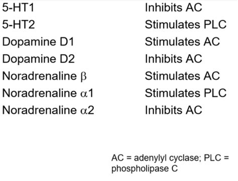 22. Neuro: Neurotransmitters System III: Monoamines Flashcards | Quizlet