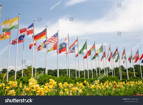 global flags images stock  vectors shutterstock