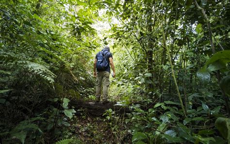 Trekking in Hule Lagoon Volcanic Crater - Ecoterra Costa Rica