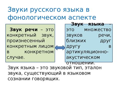 Фонология. Звуки русского языка в фонологическом аспекте. Сильные и ...
